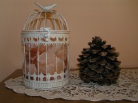 /album/fotogaleria1/pb020010-jpg/